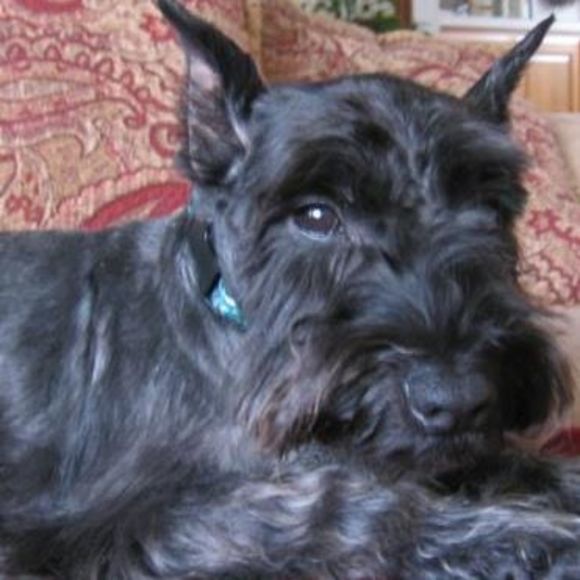 Meet your Posher, Rw - Picture 1 of 1